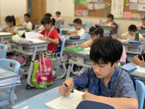 告別無聊暑假，精彩每一天 青島中小學(xué)生暑期托管服務(wù)紀(jì)實