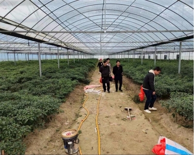 伍市鎮 多措并舉，織密織牢疫情防控期間水產養殖質量安全網