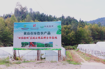 祁門縣 茶香滿山，特色農業(yè)繪就鄉(xiāng)村振興新畫卷