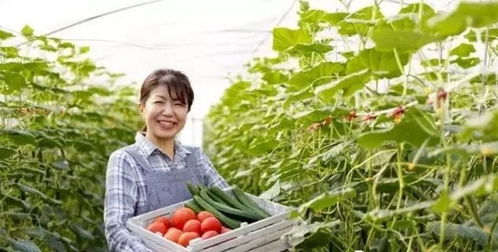 三產融合，共贏未來 如何將休閑農業(yè)、鄉(xiāng)村旅游與有機農產品種植打造成最佳營銷組合